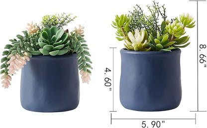 Artificial Succulent in Ceramic Pots, 2 Packs Large Faux Fake Plants Navy Blue for Desk,Office, Bedroom, Living Room, Bathroom Office Shelf Home Décor