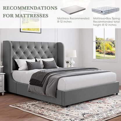 HOMBCK Grey Queen Bed Frame, Velvet Upholstered Platform Bed Frame with Headboard, Curved Wingback Design, Wooden Slats, No Box Spring, Noise Free, Easy Assembly
