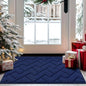 hicorfe Indoor Doormat,Front Back Door Mat TPR Backing Non Slip Mats 20"x31.5" Absorbent Resist Dirt Entrance Doormat Inside Floor for Entryway Washable Low-Profile(Navy Blue)