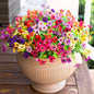 HyeFlora Artificial Flowers for Outdoor Indoor Garden Home Decoration, Faux Flower Daisy with Eucalyptus Leaves Fake Plants Greenery Boxwood Porch Patio, 12 Bundles (6 Multicolor)