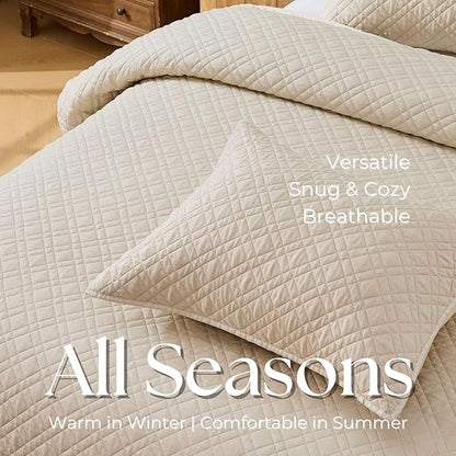 Queen Quilt Set with Shams Lightweight Quilted Bedspread Coverlet Thin Comforter Bed Cover Vintage Washed Quilted Blanket for All Season, Brushed Microfiber Diamond Stitching, Beige, 88"x92"