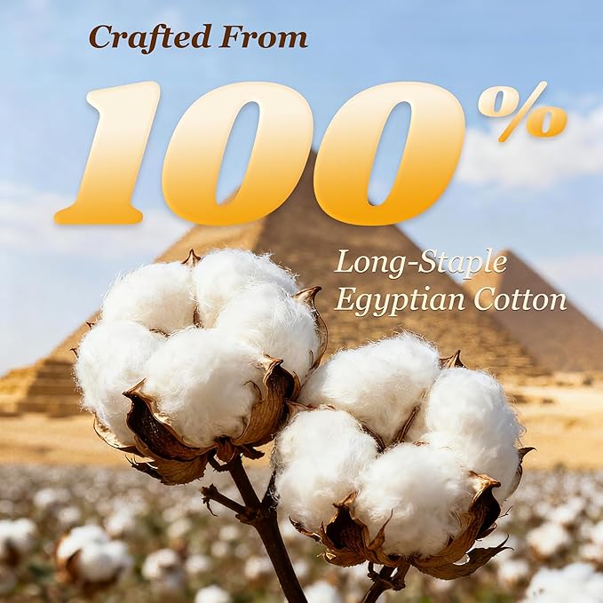 LBRO2M 1000 Thread Count 100% Egyptian Cotton Sheets Set Full Size, 4 Piece Sets Bed Sheet Deep Pocket Sheet Set 16" Soft Comfortable All Season (Full, Linen)