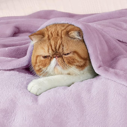 Bedsure GentleSoft Fleece Throw XL Blanket Light Purple - 300GSM Soft Lightweight Plush Cozy Blankets for Bed, Sofa, Couch, Travel, Camping, 50x70 inches