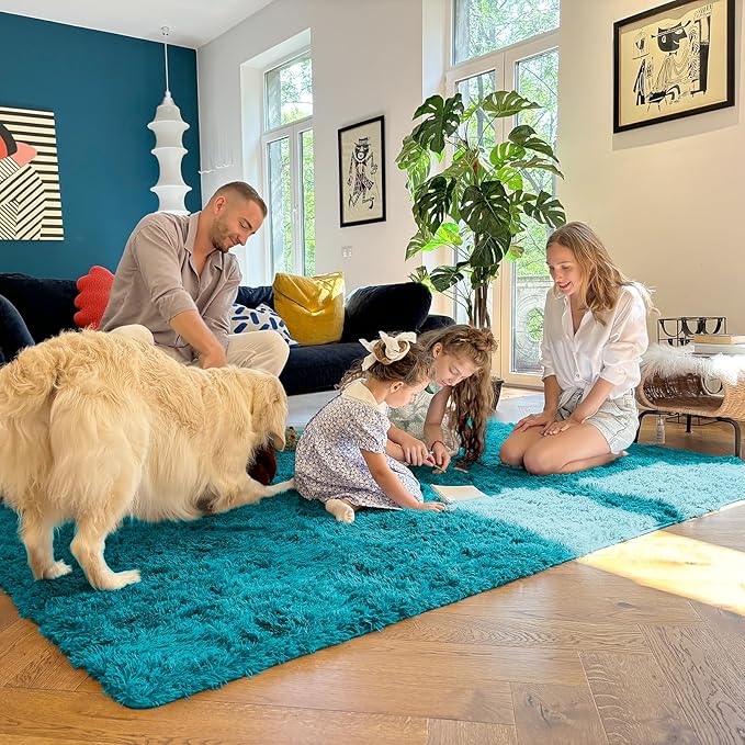 OLANLY Area Rugs for Living Room Bedroom, Machine Washable 4x5.9 ft Soft Fluffy Shaggy Bedside Rug, Indoor Floor Carpet for Kids Girls and Boys, Dorms, Nursery Rooms, Home Decor Aesthetic, Teal
