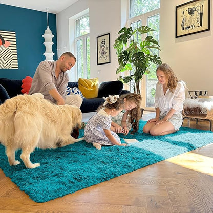 OLANLY Area Rugs for Living Room Bedroom, Machine Washable 4x5.9 ft Soft Fluffy Shaggy Bedside Rug, Indoor Floor Carpet for Kids Girls and Boys, Dorms, Nursery Rooms, Home Decor Aesthetic, Teal