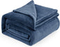 Bedsure GentleSoft Fleece Blankets King Size Mineral Blue - Bed Blanket Soft Lightweight Plush Cozy Fuzzy Luxury Microfiber, 108x90 inches