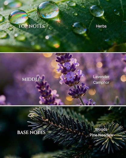 AROMADD Dream Diffuser Oil Inspired by Luxury Hotel Scent 3.38 Fl Oz (100ml), Aroma Diffuser & Hotel Fragrance Diffuser Oil, Essential Oil Diffuser for Aromatherapy, Long-Lasting