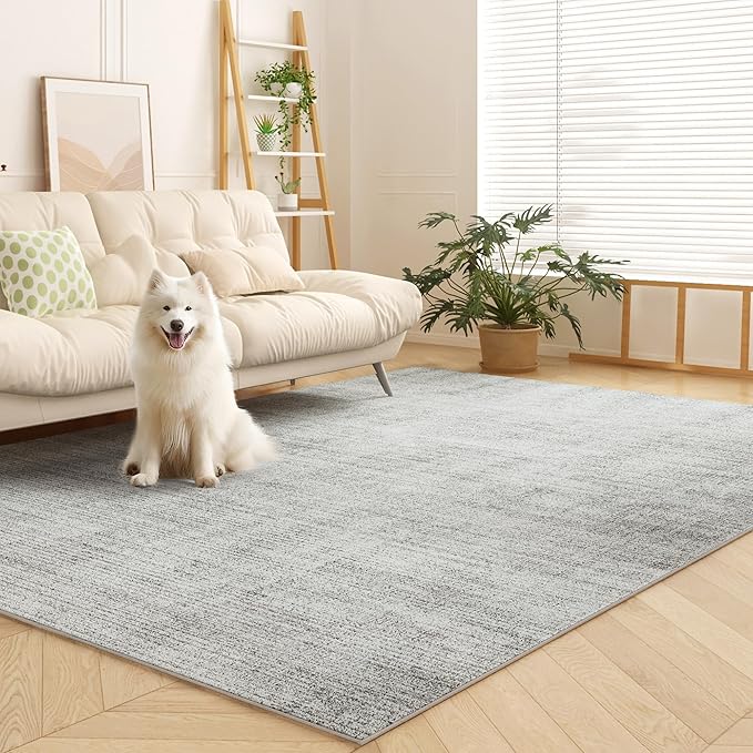 Area Rugs 6x9, Machine Washable Modern Soft Rugs for Living Room Floor Non-Slip Carpet for Nursery Bedroom Indoor Home Office Light Grey 6x9