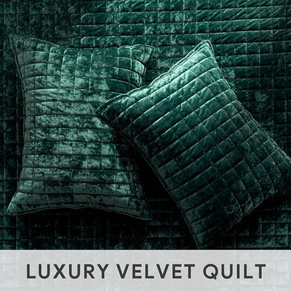 RECYCO Luxury Velvet Quilt Set Full Queen Size Bedding Sets, Ultra Soft Velvet Comforter Set, Lightweight Channel Box Stitch Oversized Bedspread Coverlet for All Season, with 2 Shams, Emerald Green