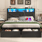 Farmhouse Queen Bed Frame with Bookcase Storage Headboard, Charging Station, LED Light and 2 Storage Drawers, Noise Free, No Box Spring Needed, Black