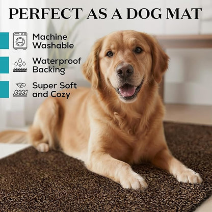 Premium Microfiber Indoor Door Mat – 32"x48" Washable Entry Mat, Non-Slip, Waterproof Backing, Super Absorbent, Low Profile Entryway Doormat for Indoor Entrance