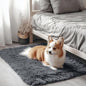 OLANLY 2x3 Machine Washable Small Bedside Rug, Soft Fluffy Shaggy Entryway Throw Rugs for Bedroom, Living Room, Indoor Floor Carpet for Kids Girls and Boys, Nursery Rooms, Home Decor Aesthetic, Grey