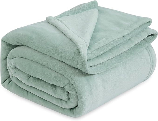 Bedsure GentleSoft Sage Green Fleece Blankets Queen Size - 280GSM Soft Lightweight Plush Cozy Blanket for Bed, Sofa, Couch, Travel, Camping