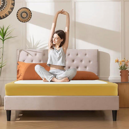 Biscaynebay Decorative Box Spring Cover Full & Full XL Size, Gold Luxurious Jersey Knitting Stretchy Wrap Around 4 Sides Bed Skirt for Home/Hotels, Easy Fit Wrinkle & Fade Free Machine Washable