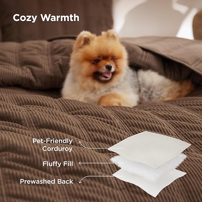 Bedsure Luxury Velvet Quilt Queen Size - Lightweight Velvet Brown Fluffy Comforter Set, Oversized Corduroy Bedspread Coverlet Winter Bedding Set, Pet-Friendly, Tear-Resistant, Ultra-Soft, 90"x96"