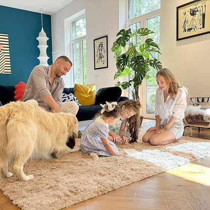OLANLY 5x8 Machine Washable Large Area Rugs for Living Room, Bedroom, Soft Fluffy Shaggy Bedside Rug, Indoor Floor Carpet for Kids Girls and Boys, Dorms, Nursery, Home Decor Aesthetic, Beige