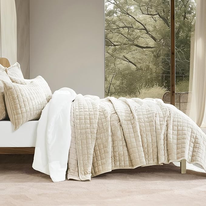 RECYCO Luxury Velvet Quilt Set Full Queen Size Bedding Sets, Ultra Soft Velvet Comforter Set, Lightweight Channel Box Stitch Oversized Bedspread Coverlet for All Season, with 2 Shams, Beige