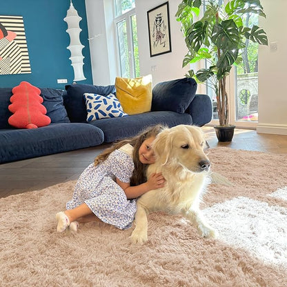 OLANLY 6x9 Machine Washable Large Area Rugs for Living Room, Bedroom, Soft Fluffy Shaggy Bedside Rug, Indoor Floor Carpet for Kids Girls and Boys, Dorms, Nursery, Home Decor Aesthetic, Beige