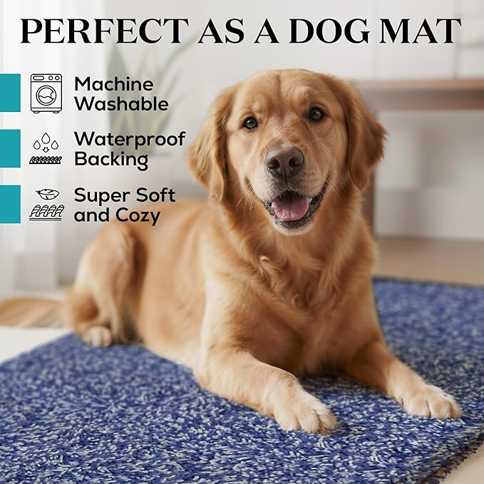 Premium Microfiber Indoor Door Mat – 20"x30" Washable Entry Mat, Non-Slip, Waterproof Backing, Super Absorbent, Low Profile Entryway Doormat for Indoor Entrance