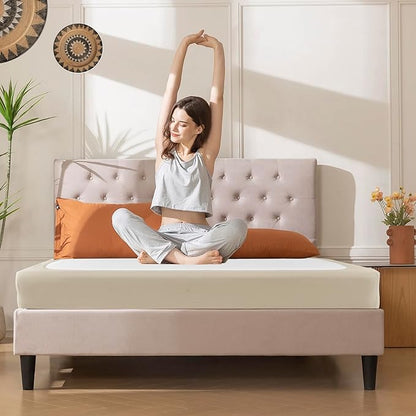 Biscaynebay Decorative Box Spring Cover Full & Full XL Size, Light Camel Luxurious Jersey Knitting Stretchy Wrap Around 4 Sides Bed Skirt for Home/Hotels, Easy Fit Wrinkle Free Machine Washable