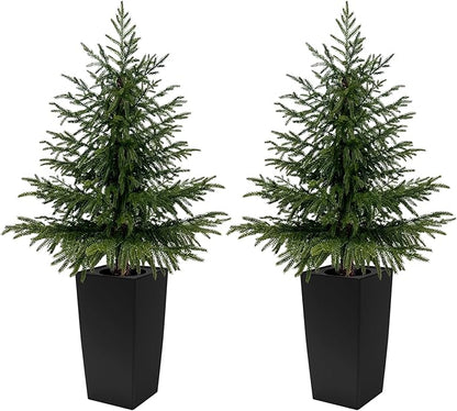 2 Pack 4FT Artificial Norfolk Pine Trees, Real Feel Faux Christmas Tree with Square Black Pot, Pet Safe PPC Material, Indoor Outdoor Plants for Front Porch, Living Room Decor