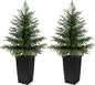 2 Pack 4FT Artificial Norfolk Pine Trees, Real Feel Faux Christmas Tree with Square Black Pot, Pet Safe PPC Material, Indoor Outdoor Plants for Front Porch, Living Room Decor