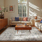 jinchan Kalen Area Rug 6x9 Washable Living Room Rug Vintage Indoor Large Floor Cover Retro Accent Mat Distressed Floral Country Boho Non Slip Thin Carpet for Bedroom Dining Room Office Blue Multi