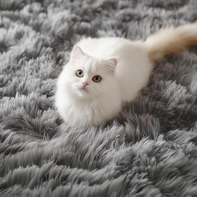 PAGISOFE 2x4 Small Bedroom Rug, Machine Washable Runner Rugs, Soft Plush Area Rug for Dorm, Kids Room, Office,Fuzzy Playroom Carpet, Alfombra para Sala, Furry Bedside Rug, Accent Faux Furry Grey Rugs
