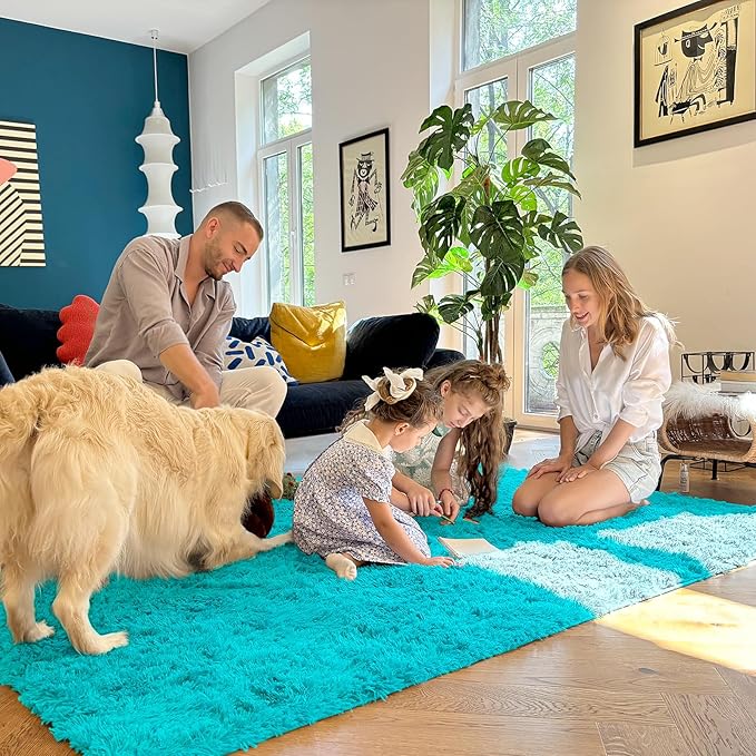 OLANLY 5x7 Machine Washable Large Area Rugs for Living Room, Bedroom, Soft Fluffy Shaggy Bedside Rug, Indoor Floor Carpet for Kids Girls and Boys, Dorms, Nursery, Home Decor Aesthetic, Teal Blue