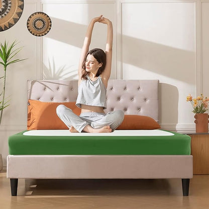 Biscaynebay Decorative Box Spring Cover Queen Size, Sage Luxurious Jersey Knitting Stretchy Wrap Around 4 Sides Bed Skirt for Home/Hotels, Easy Fit Wrinkle & Fade Free Machine Washable
