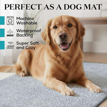 Premium Microfiber Indoor Door Mat – 36"x60" Washable Entry Mat, Non-Slip, Waterproof Backing, Super Absorbent, Low Profile Entryway Doormat for Indoor Entrance