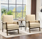 Accent Chairs for Living Room Set of 2, Modern Arm Chairs for Bedroom, Wooden Upholstered Mid Century Accent Chairs, Beige