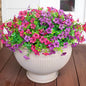 HyeFlora Artificial Flowers for Outdoor Indoor Garden Home Decoration, Faux Flower Daisy with Eucalyptus Leaves Fake Plants Greenery Boxwood Porch Patio, 12 Bundles (Purple Pink)