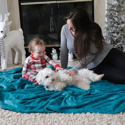 Bedsure GentleSoft Fleece Throw Blanket Teal - 300GSM Blankets for Couch, Sofa, Bed, Soft Lightweight Plush Cozy Throws for Toddlers, 50x60 inches