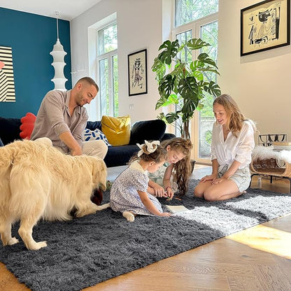 OLANLY 5x8 Machine Washable Large Area Rugs for Living Room, Bedroom, Soft Fluffy Shaggy Bedside Rug, Indoor Floor Carpet for Kids Girls and Boys, Dorms, Nursery, Home Decor Aesthetic, Grey