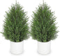 Briful 27” Artificial Cedar Topiary Tree in White Planter, 2PCS – Realistic Faux Evergreen Faux Floor Plant with Layered Leaves, Decorative Indoor Outdoor Potted Shrub for Home, Office, Patio, Porch