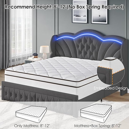 Keyluv King Bed Frame with LED Lights and 2 Storage Drawers, Velvet Upholstered Platform with 47" Tall Arc-Shaped Wingback Headboard and Button Tufted Design, No Box Spring Needed, Noise-Free, Gray