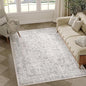 Gray Area Rug 4x6 Office Entryway Rug Machine Washable Kitchen Vintage Distressed Non Slip Carpet Indoor Grey Retro Floral Accent Throw Door Mat for Bathroom Bedroom Dining Living Room