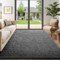 Ophanie 5x7 Area Rugs for Living Room Grey, Fluffy Shag Large Fuzzy Plush Soft Rug, Gray Shaggy Floor Big Carpets for Bedroom Nursery, Kids Home Decor Aesthetic