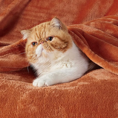 Bedsure GentleSoft Twin XL Fleece Blanket Dorm Bedding - Lightweight Soft Cozy Blankets for Bed, Sofa, Couch, Travel, Camping, Burnt Orange, 66"x90"