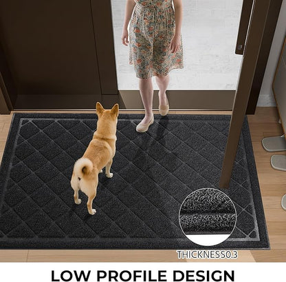 Front Door Mat Indoor Outdoor Entrance, 24" x 48" All-Season Heavy Duty Waterproof Doormat, Non-Slip Absorbent Entryway Mat, Easy to Clean, Low Profile Commercial Floor Mat for Indoor Outdoor