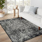 vivorug 4x6 Area Rugs, Stain Resistant Washable Rug for Living Room, Vintage-Inspired Black and White Rug