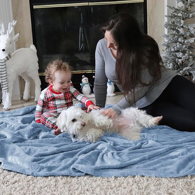 Bedsure GentleSoft Fleece Throw Blanket for Couch Light Blue - Lightweight Plush Fuzzy Cozy Soft Blankets and Throws for Sofa, 50x60 inches