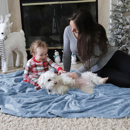 Bedsure GentleSoft Fleece Throw Blanket for Couch Light Blue - Lightweight Plush Fuzzy Cozy Soft Blankets and Throws for Sofa, 50x60 inches