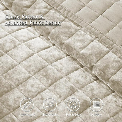LEAONME Velvet Quilt Full/Queen Size-90''x98'', Lightweight Beige Velvet Comforter Set with 2 Pillow Shams, Soft Bedspread Coverlet Quilted Bedding Set for All Season