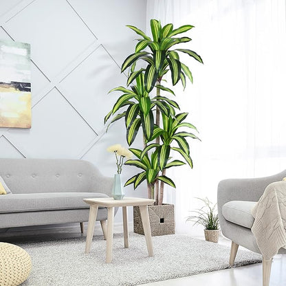 Artificial Plants, 6 Ft Dracaena Tree Faux Plants Indoor Outdoor Decor Fake Tree with Woven Seagrass Basket Plants for Home Decor Office Living Room Porch Patio Housewarming