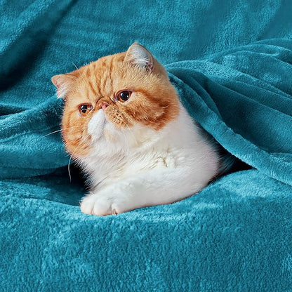 Bedsure GentleSoft Twin XL Fleece Blanket Dorm Bedding - Lightweight Soft Cozy Blankets for Bed, Sofa, Couch, Travel, Camping, Teal Blue, 66"x90"
