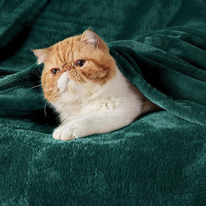 Bedsure GentleSoft Fleece Blankets King Size Emerald Green - Bed Blanket Soft Lightweight Plush Cozy Fuzzy Luxury Microfiber, 108x90 inches