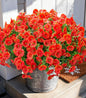 Artificial Flowers Fake Plants for Outdoors Decoration, 12 Bundles Orange Silk Morning Glory with Eucalyptus Realistic UV Resistant Faux Flowers Greenery for Outside Planter Yard Garden Home Indoor