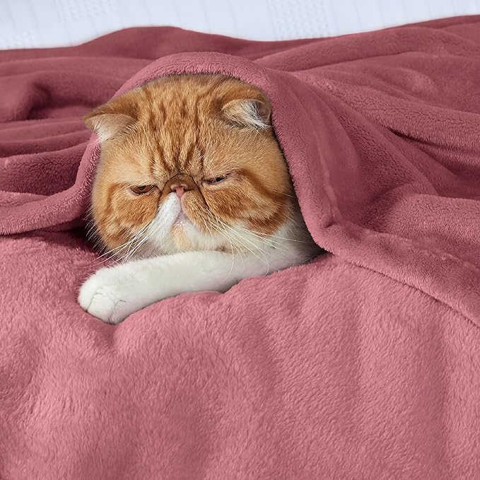Bedsure GentleSoft Fleece Blankets Twin Size Dusty Rose - 300GSM Lightweight Plush Fuzzy Cozy Soft Blanket for Bed, Sofa, Couch, Travel, Camping, 60x80 inches